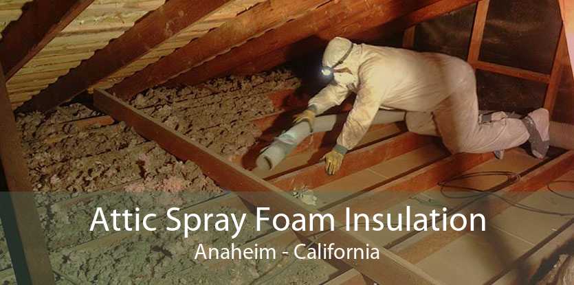 Attic Spray Foam Insulation Anaheim - California