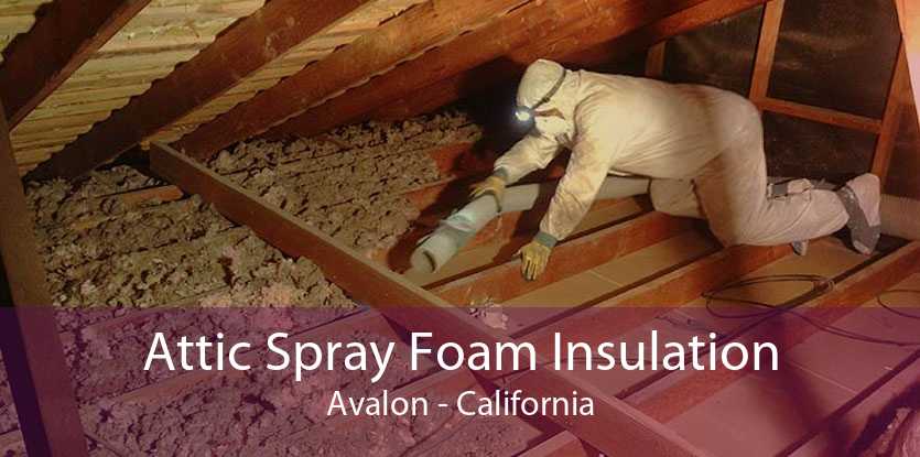Attic Spray Foam Insulation Avalon - California