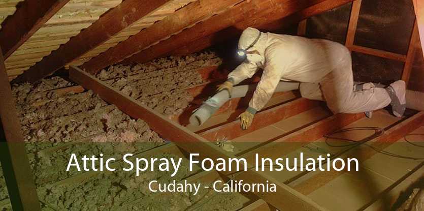 Attic Spray Foam Insulation Cudahy - California