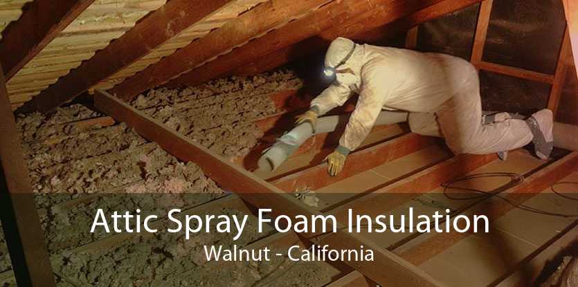 Attic Spray Foam Insulation Walnut - California