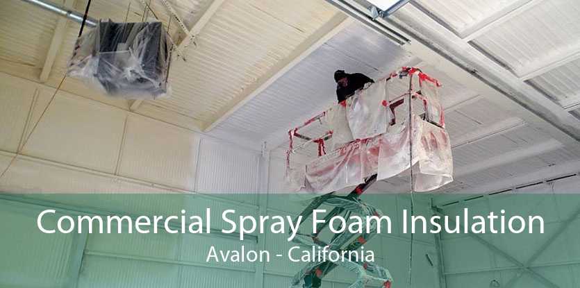 Commercial Spray Foam Insulation Avalon - California