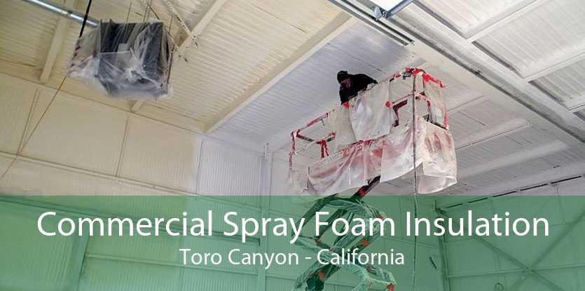 Commercial Spray Foam Insulation Toro Canyon - California