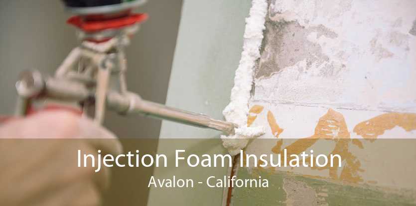 Injection Foam Insulation Avalon - California