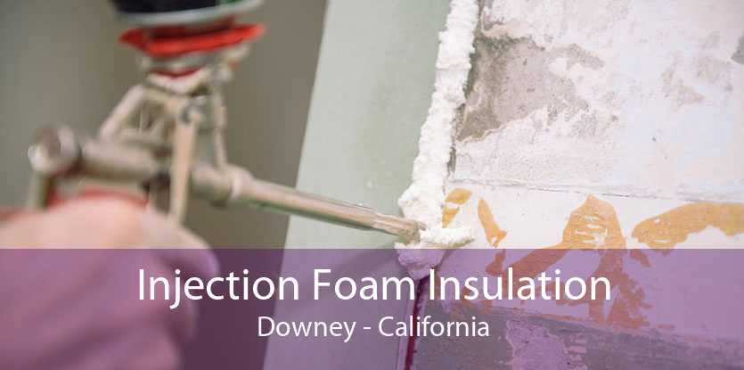 Injection Foam Insulation Downey - California