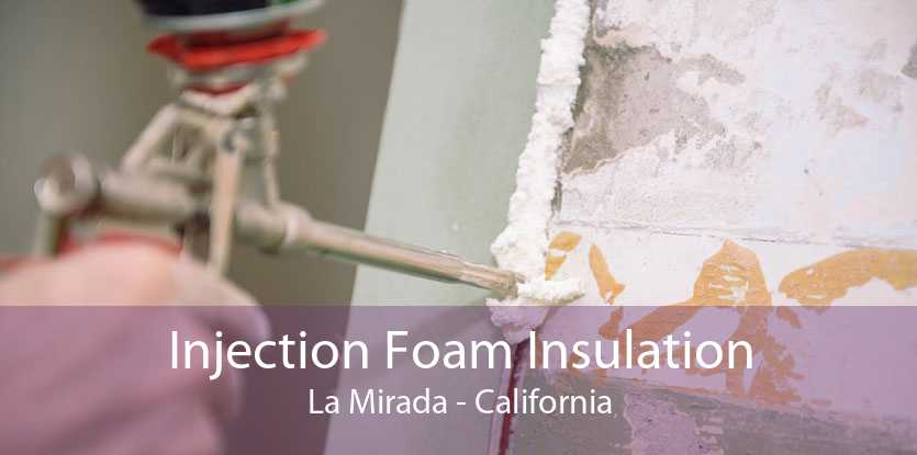 Injection Foam Insulation La Mirada - California