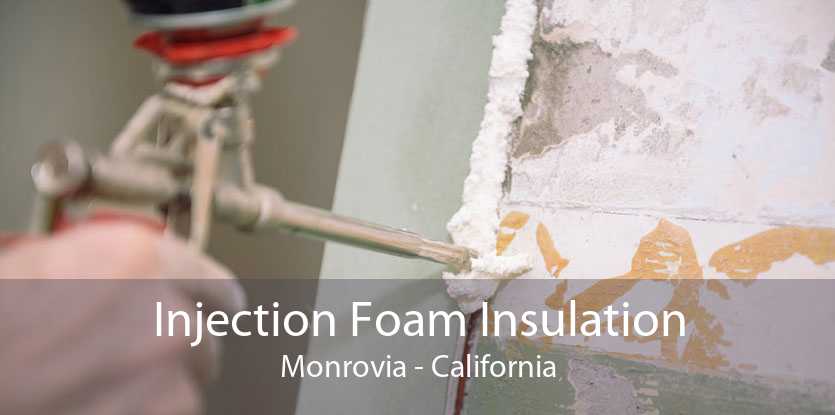 Injection Foam Insulation Monrovia - California