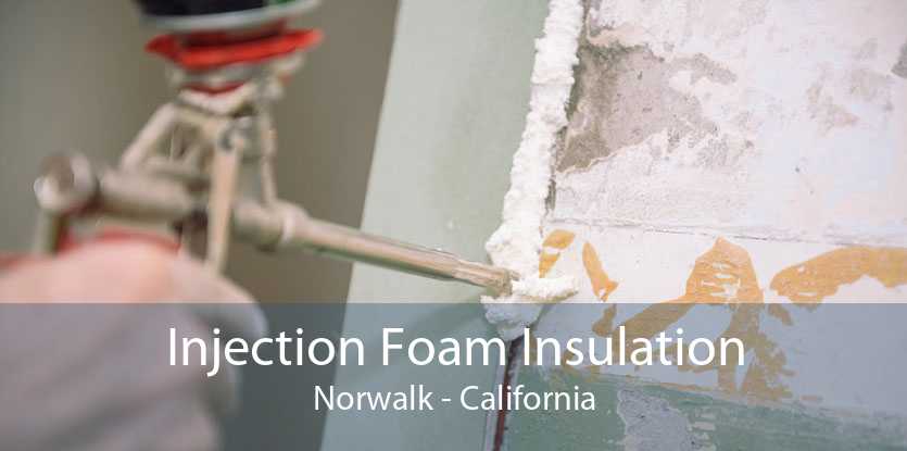 Injection Foam Insulation Norwalk - California