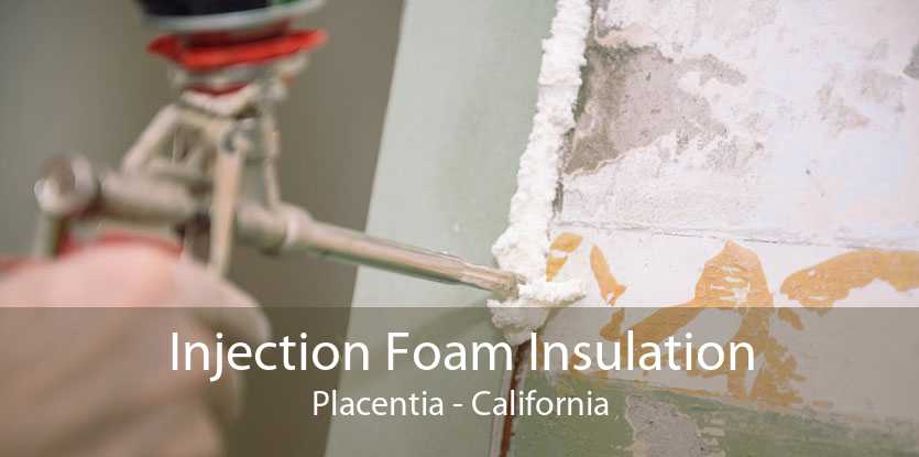 Injection Foam Insulation Placentia - California