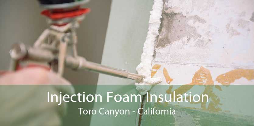 Injection Foam Insulation Toro Canyon - California