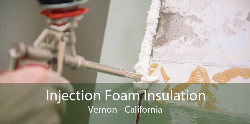 Injection Foam Insulation Vernon - California