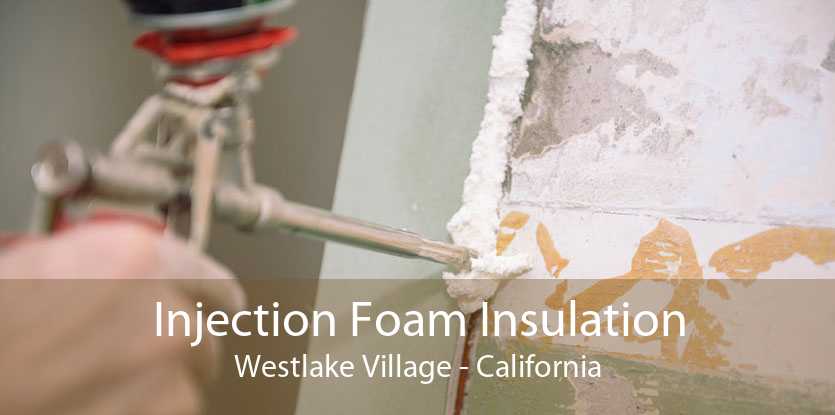 Injection Foam Insulation Westlake Village - California