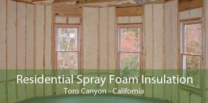 Residential Spray Foam Insulation Toro Canyon - California